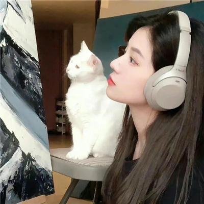 我的绝密生涯